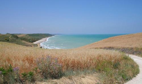 Hotel Vittoria - image 13