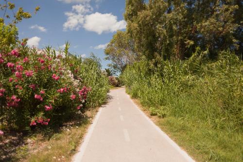 Hotel Vittoria - image 5