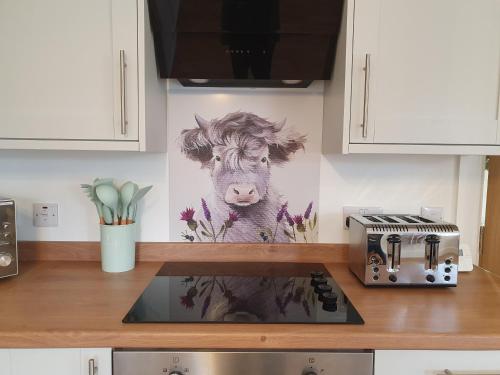 кухня, 2-Bed Barn Hot Tub & Pet Friendly near Muirkirk in Камнок