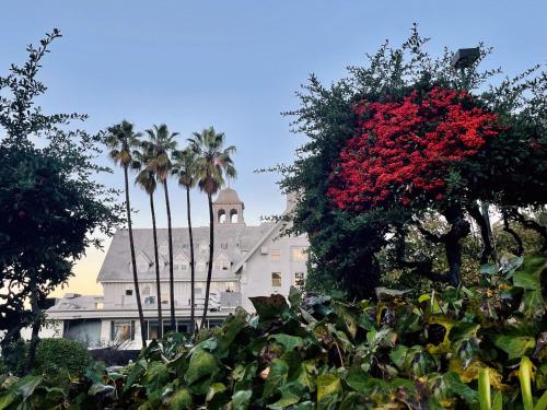 280023437 Claremont Resort & Club
