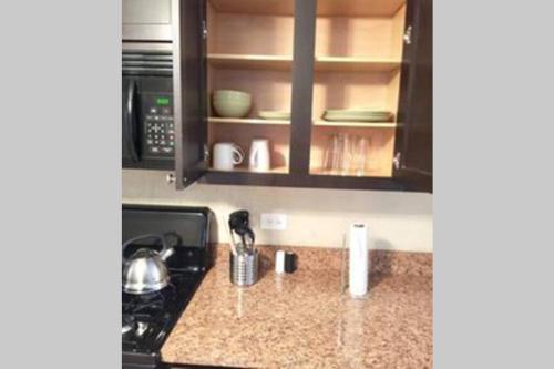 Entire Modern 2 Bedroom Apartment in Deerfield (IL)