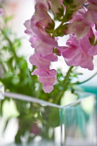 Hotel Schwalbe - image 3