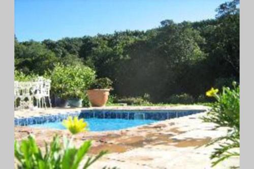 . Hornbills Forest Cottages