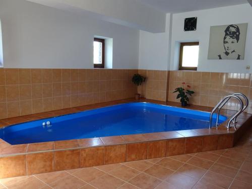 Swimming pool, Penzion Dockaluv mlyn in Havlickuv Brod