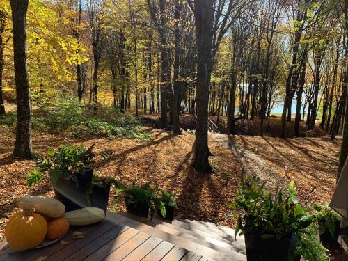 Luxury Lake House - image 3