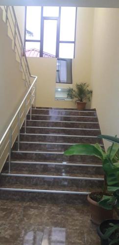 комфорт - Marneuli