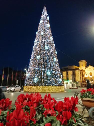 Palazzo Jannuzzi Relais - image 5
