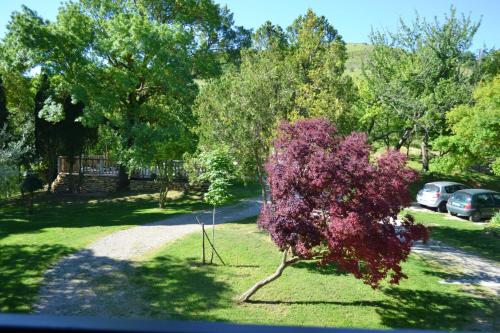 Villa de 5 chambres avec piscine partagee jardin amenage et wifi a Laurac