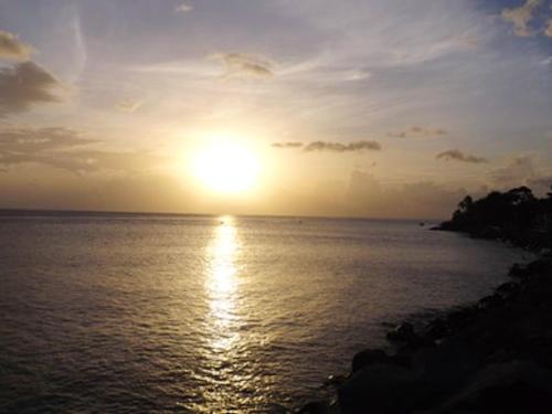 外部景觀, Studio avec vue sur mer à Marigot - 30 m² - Jardin (Studio avec vue sur mer a Marigot - 30 m² - Jardin) in 哥西爾