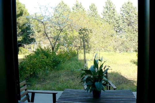 花園, Welcoming apartment in Nicolosi with included parking in 尼科洛西