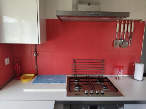  2 bedrooms appartement with furnished balcony and wifi at Barreiros in Barreiros