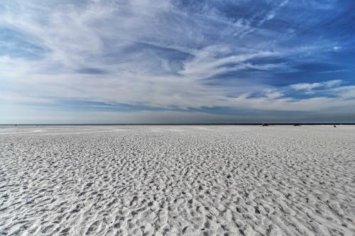 Bright Sarasota Bungalow - 5 Mi to Siesta Beach! in 사라소타 브래든턴 국제공항
