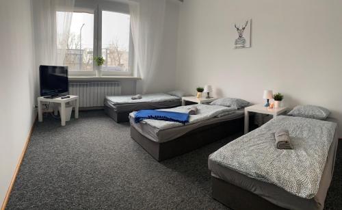 Hostel Czecha, Varsovia