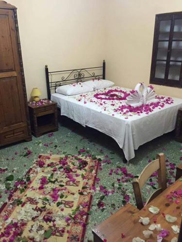 Karpaz farm guest house - image 11