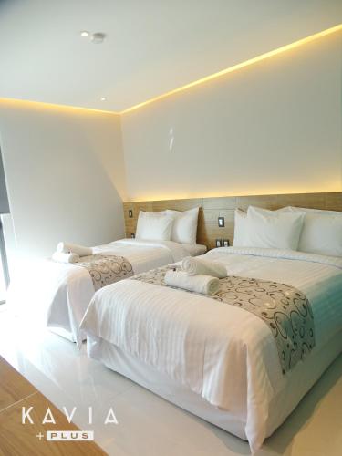 卡維亞普拉斯酒店 (Hotel Kavia Plus) in 坎昆