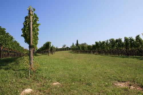Maso Di Villa Relais Di Campagna - image 7