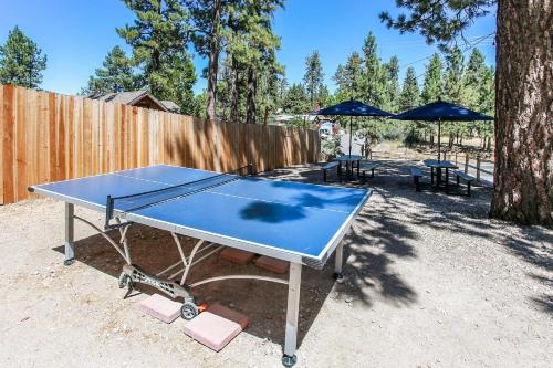 Cottages 6 and 7 Black and Kodiak Bear combined Perfect for Family and Friends - image 4