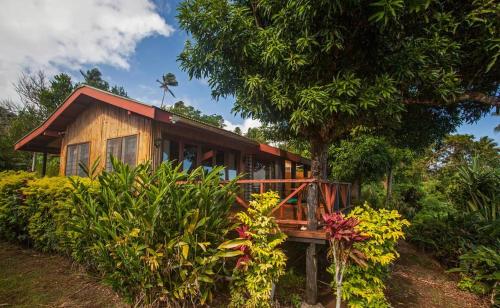 Palm Gardens Fiji