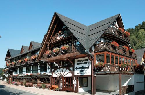 Hotel Sauerländer Hof in Willingen, Deutschland
