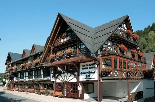 Hotel Sauerländer Hof in Willingen, Deutschland
