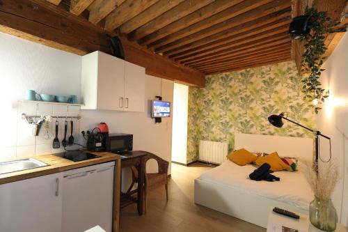 Charming Studio Centre Ville De Lyon, Rhone