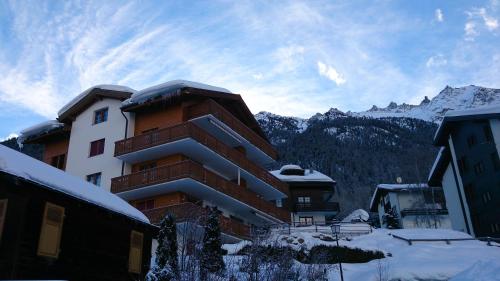 Appartement in 1700m mit Traumblick