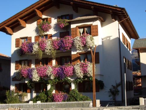 Baita Diana - Apartment - Bormio