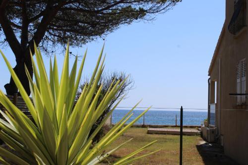 Villa au bord de mer, avec vue mer et accès plage