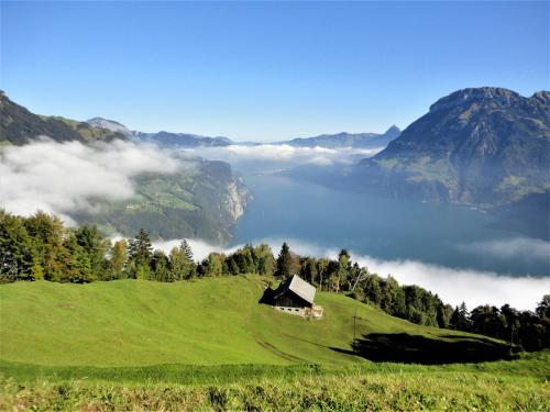 Ferienwohnung ob Vierwaldsättersee