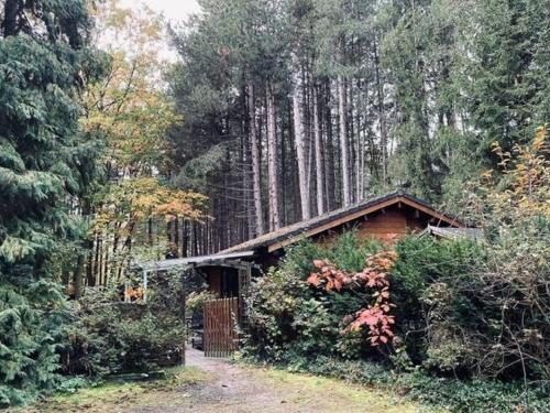 Chalet in a peaceful location near Nijlen