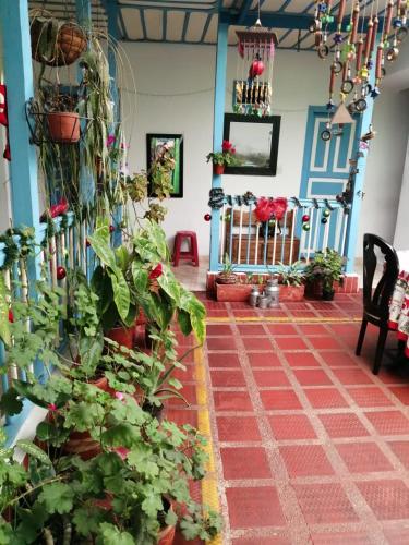 Hostal Bosque de Niebla photo