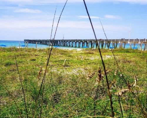Gone Gulf'N - Incredible Beach Home with Private Pool - New on the Market! - image 5