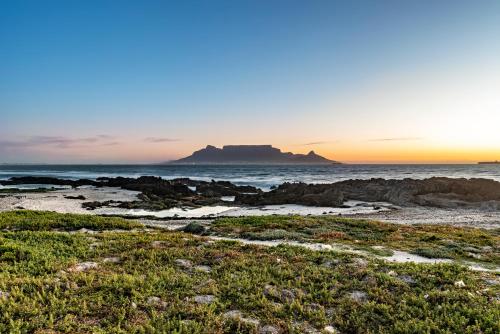 Belle Maroc Boutique Hotel - image 6