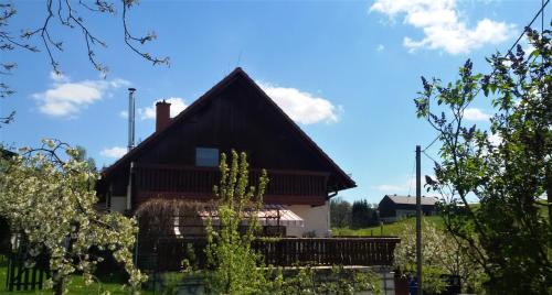 2 bedrooms apartement with shared pool garden and wifi at Obernaundorf 7 km away from the beach