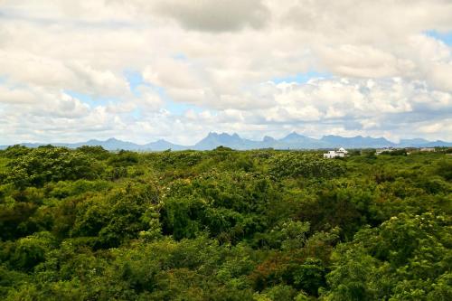 Luxurious Villa in Pereybere with Pool