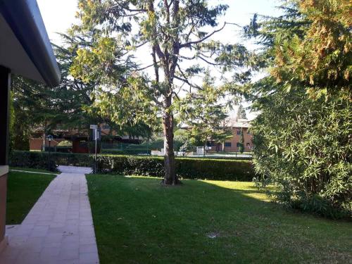 Apartment with one bedroom in Sirmione with shared pool and WiFi 200 m from the beach - image 12