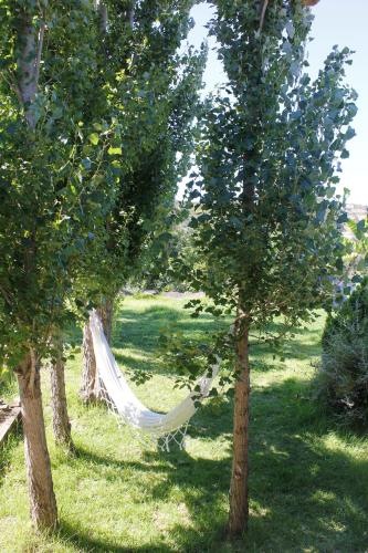 House with one bedroom in Castro Marim with wonderful mountain view shared pool furnished terrace 11 km from the beach - image 12