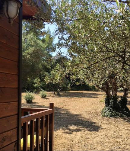 Property with one bedroom in Saint Remy de Provence with furnished garden and WiFi - image 7