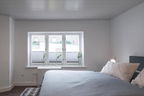 Apartment - Ground Floor image 4