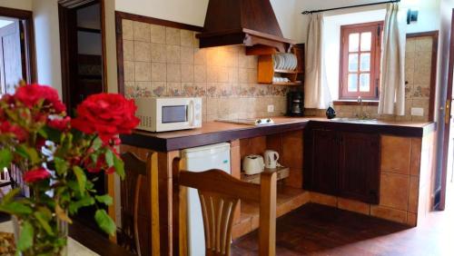 Apartment with 2 bedrooms in Santa Cruz de Tenerife Canarias with furnished terrace and WiFi 5 km from the beach - image 5