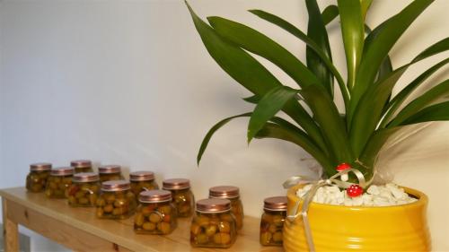 Olives, Arad (fotografie 9)