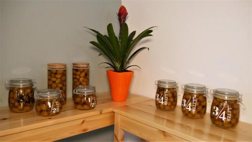Olives, Arad (fotografie 10)