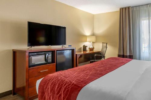Comfort Inn At the Park - image 3