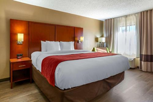 Comfort Inn At the Park - image 3