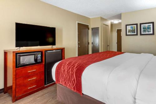 Comfort Inn Fort Mill Amusement Park at Carowinds Blvd in Fort Mill, USA