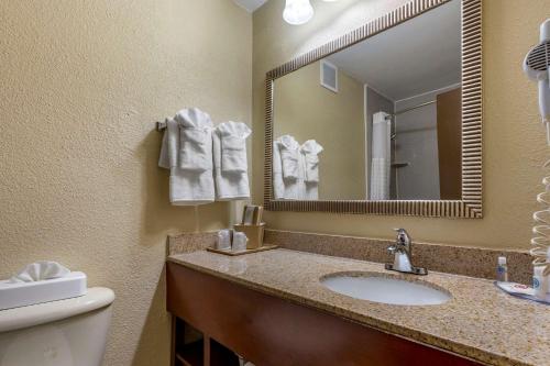 Comfort Inn At the Park - image 7