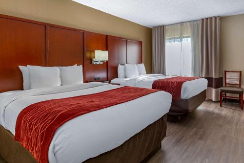 Comfort Inn At the Park - image 6