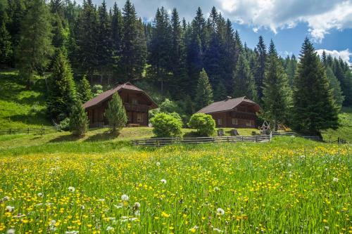 Gasserhütte - Innerkrems