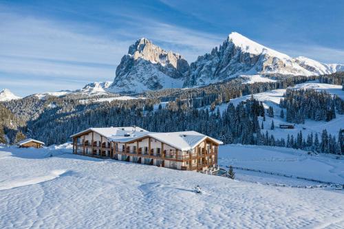 Brunelle Seiser Alm Lodge - image 10