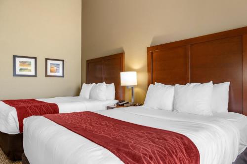 Comfort Inn & Suites Augusta - image 2